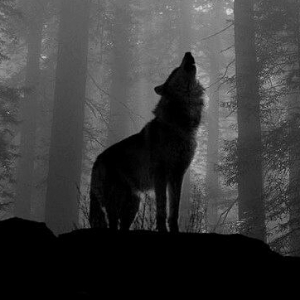 Добрый Человек