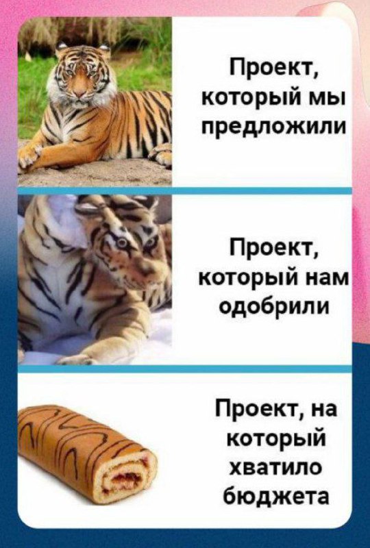 Жена мне показала #мем про дизайн, а кто я такой, чтобы не запостить это 😅. | Сетка — социальная сеть от hh.ru