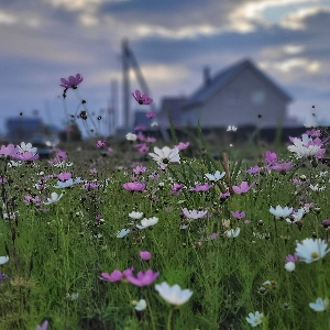 Татьяна Филиповцева