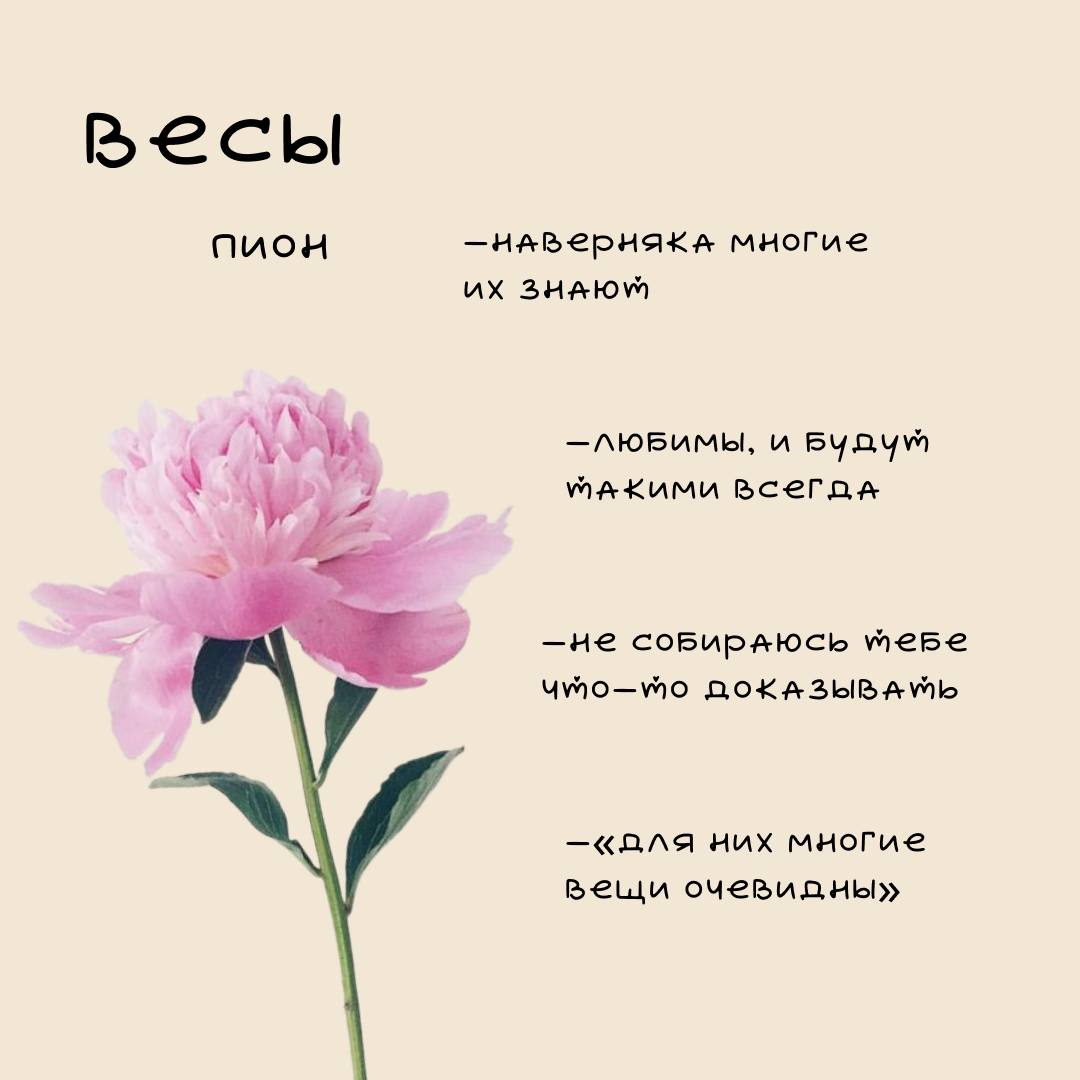❤️Цветочный гороскоп Ч | Сетка — социальная сеть от hh.ru