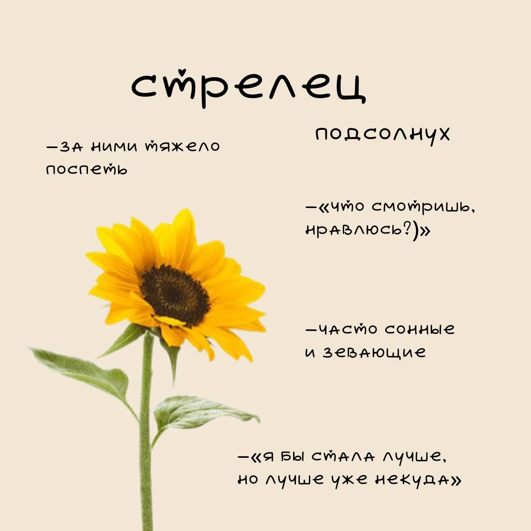 ❤️Цветочный гороскоп Ч | Сетка — социальная сеть от hh.ru