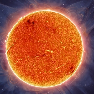 Анастасия Токарева | Сетка — социальная сеть от hh.ru