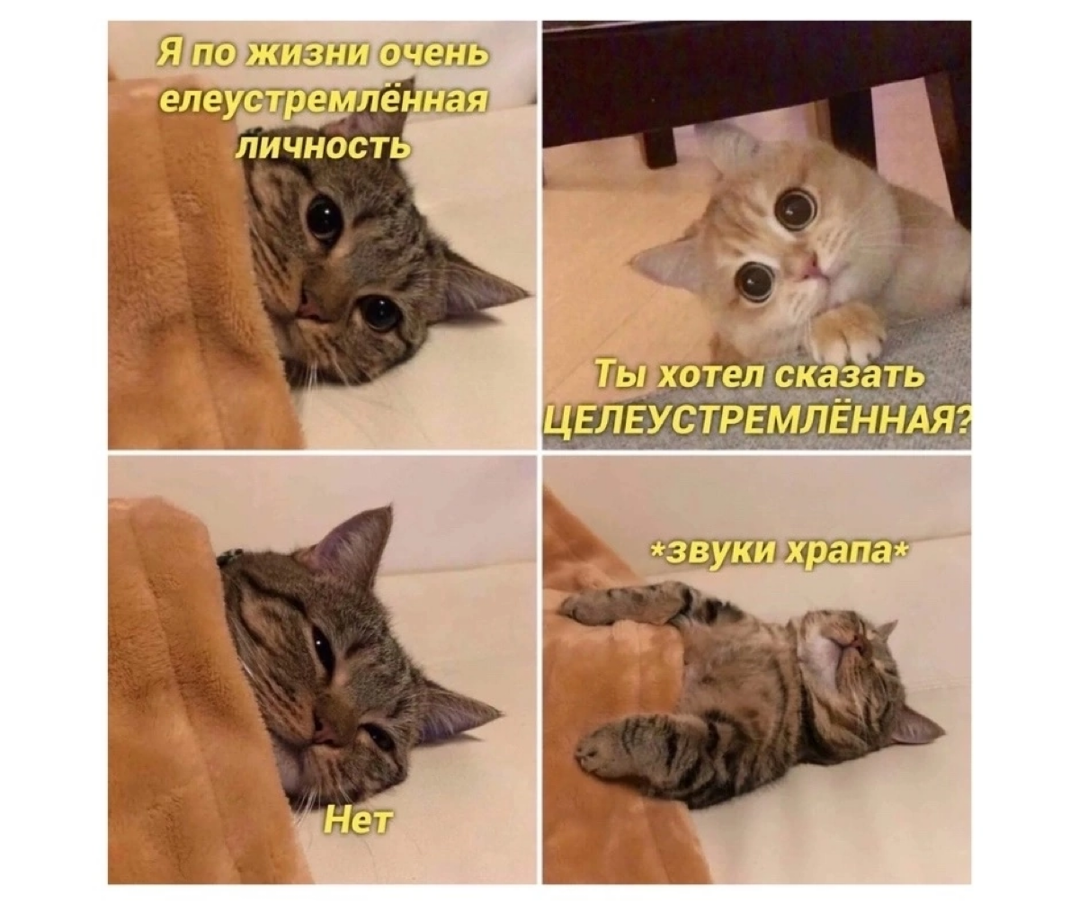 #мемдня
Коллеги, я только проснулась, можно попросить вас пока не заваливать меня сообщениями и звонками? Звуки уведомлений с утра (11:06) вгоняют меня в тревогу. 💣 | Сетка — социальная сеть от hh.ru