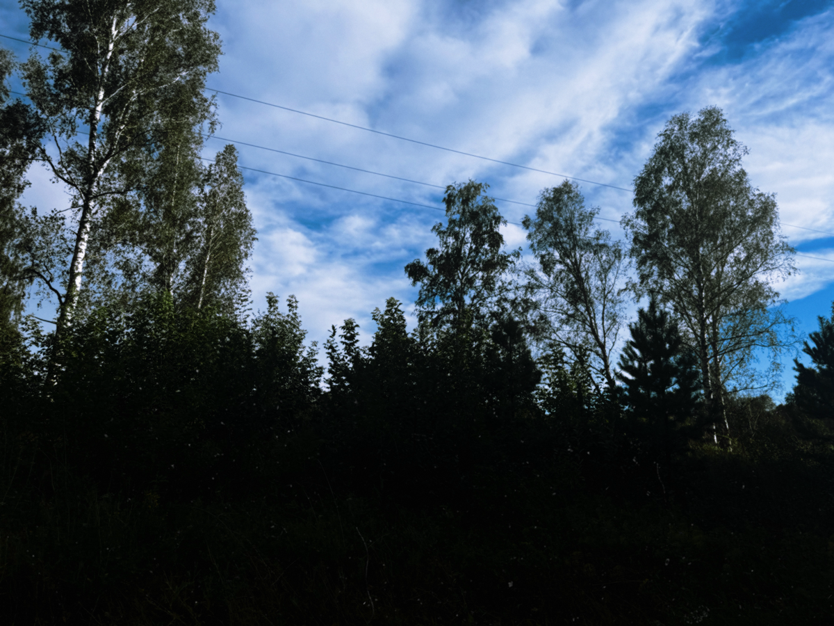 🥰🥰🥰 | Сетка — социальная сеть от hh.ru