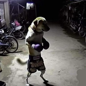 Семен Клюкин