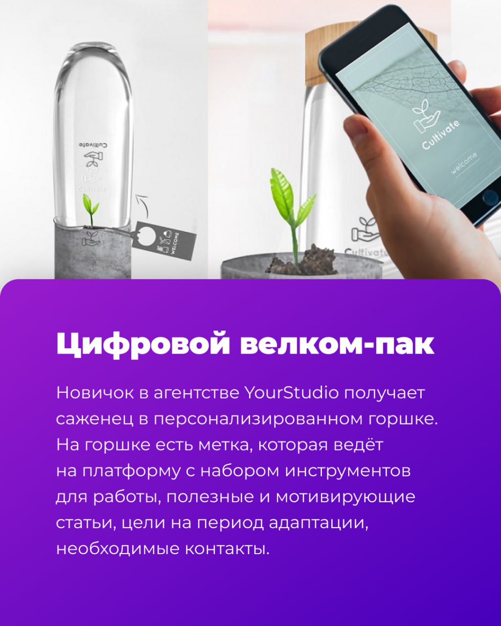🎁 Что подарить новичку в первый рабочий день?
Кроме внимания, конечно | Сетка — социальная сеть от hh.ru