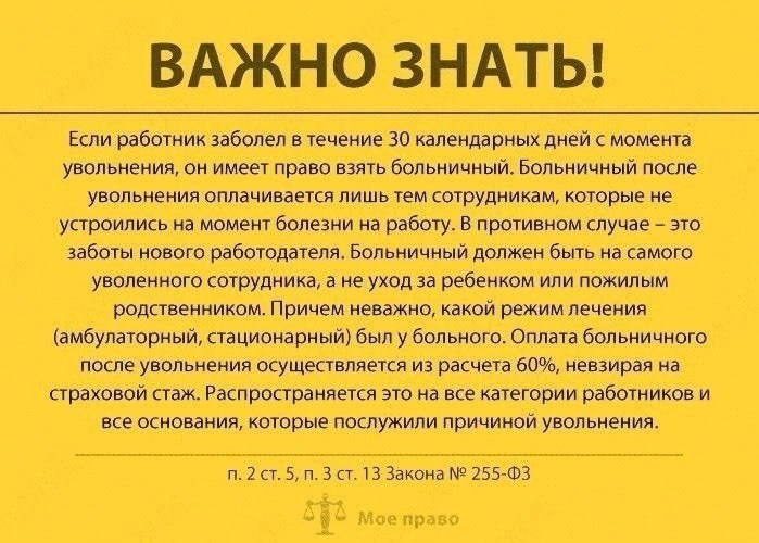 Ваши права во время больничных, отпуска и не только
Читайте в карточках 🔻
#Карьера | Сетка — социальная сеть от hh.ru