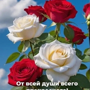 Надежда Потапенкова