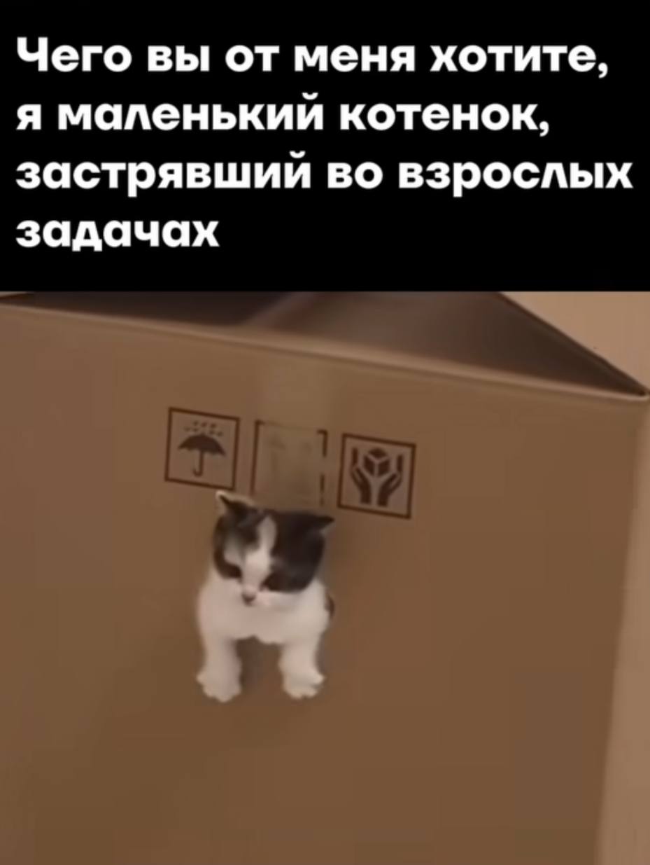 После работы можно побыть маленьким котенком, который просто хочет мороженое и лучики солнца | Сетка — социальная сеть от hh.ru