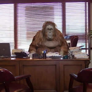 Александр Морозов | Сетка — социальная сеть от hh.ru