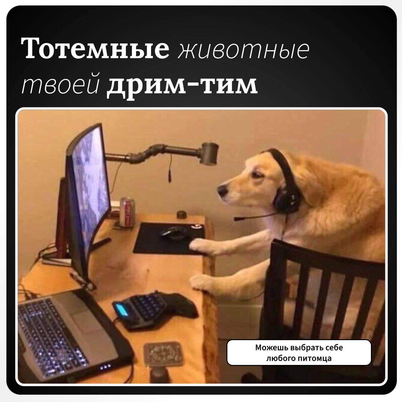Собираем идеальную команду для будущего проекта 💼
Никого не забыли? Все на месте? | Сетка — социальная сеть от hh.ru