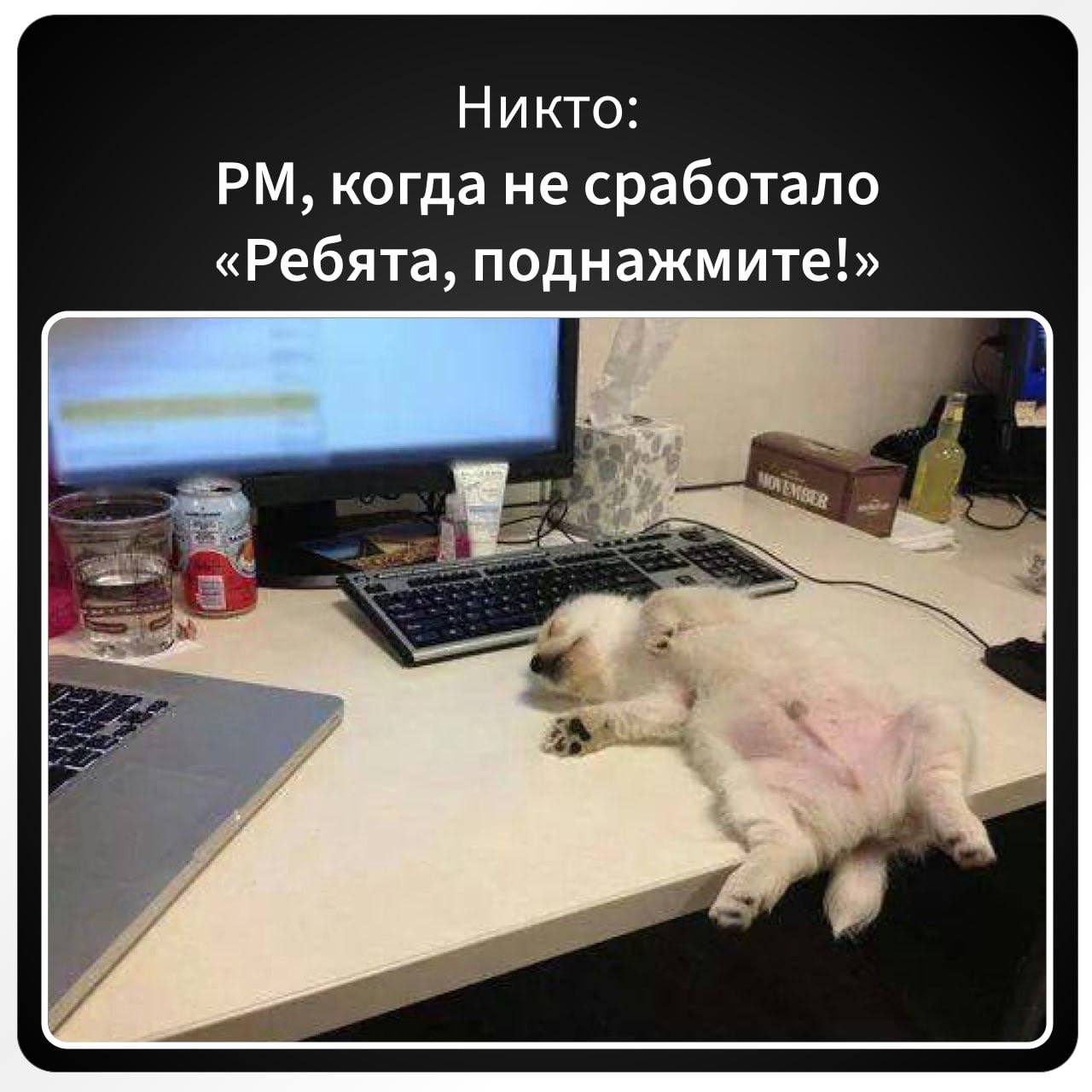 Собираем идеальную команду для будущего проекта 💼
Никого не забыли? Все на месте? | Сетка — социальная сеть от hh.ru