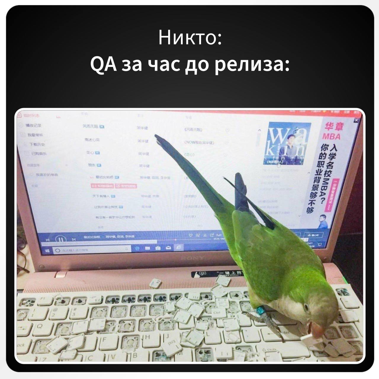 Собираем идеальную команду для будущего проекта 💼
Никого не забыли? Все на месте? | Сетка — социальная сеть от hh.ru