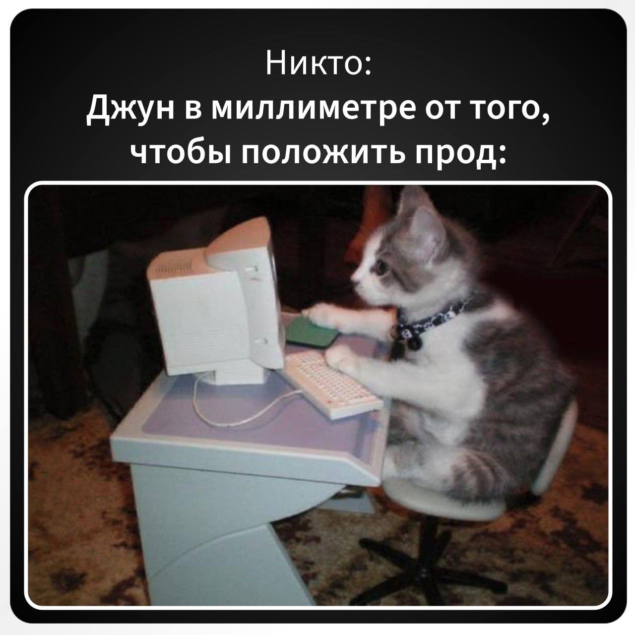 Собираем идеальную команду для будущего проекта 💼
Никого не забыли? Все на месте? | Сетка — социальная сеть от hh.ru