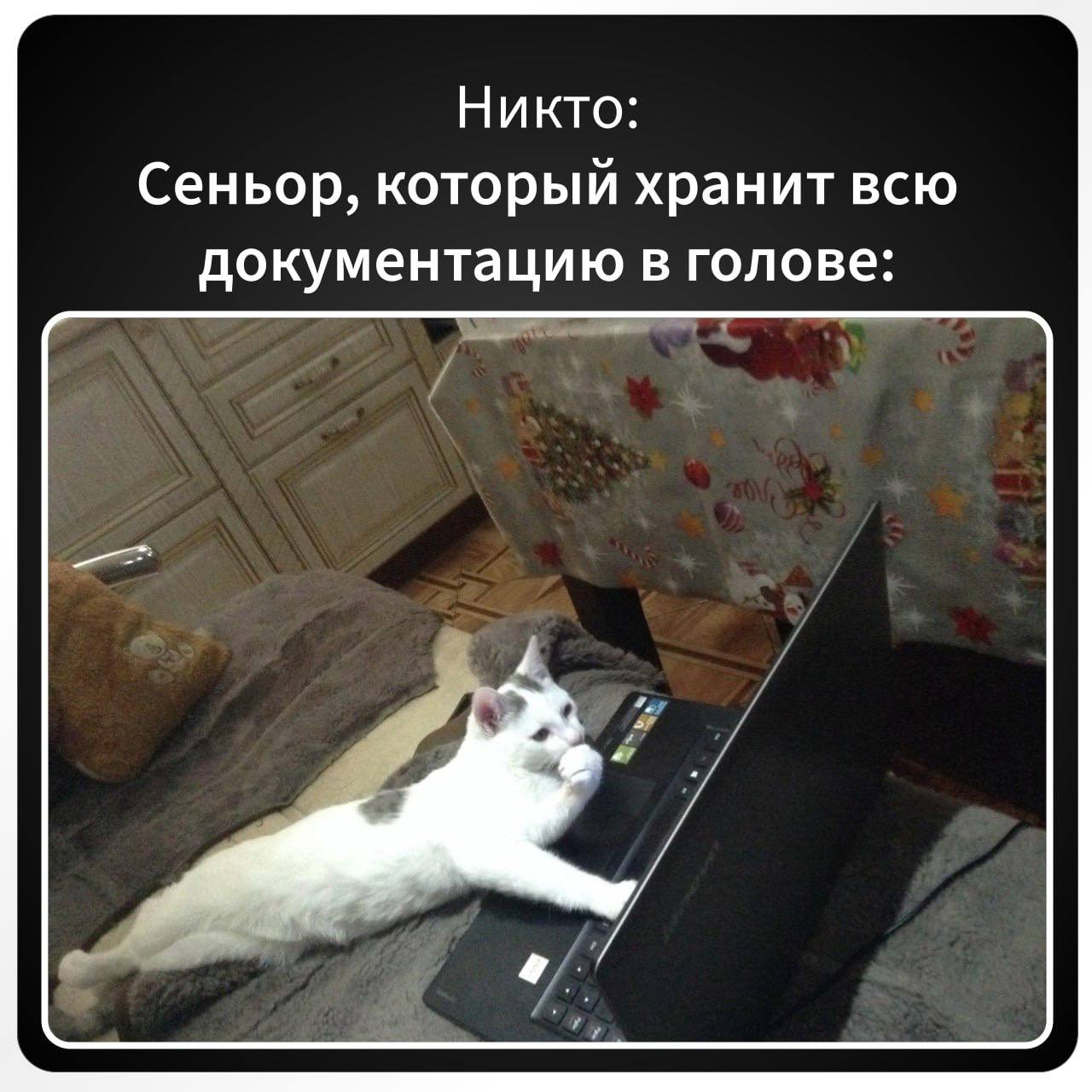 Собираем идеальную команду для будущего проекта 💼
Никого не забыли? Все на месте? | Сетка — социальная сеть от hh.ru