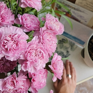 Serafima Potrova | Сетка — социальная сеть от hh.ru