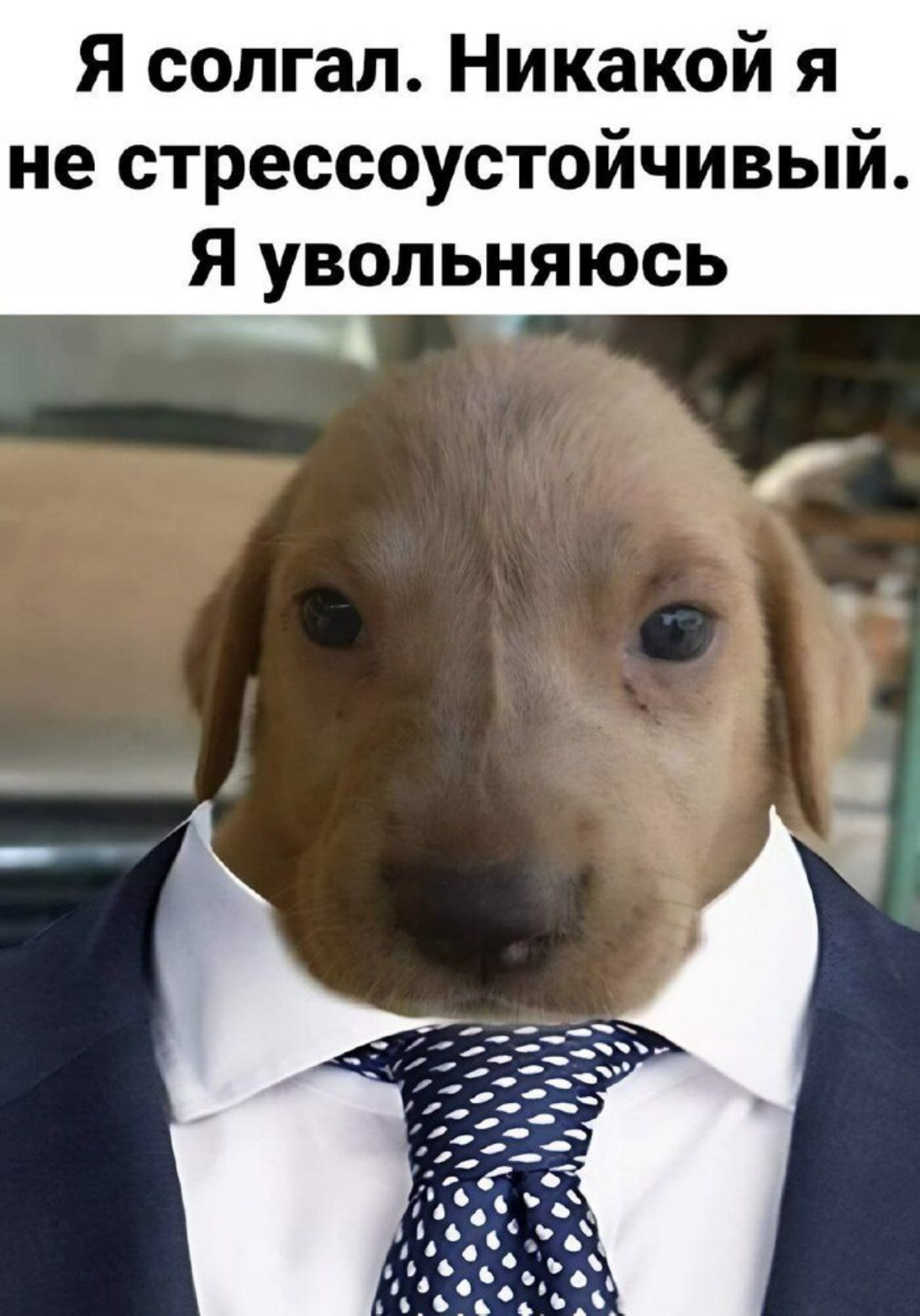 За время, которое я работаю в должности Project Manager, я начал осознавать один чрезвычайно важный для руководителя фактор | Сетка — социальная сеть от hh.ru