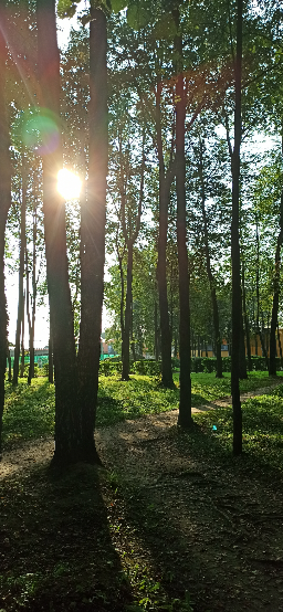 Всем доброе утро и хорошего дня 💕 | Сетка — социальная сеть от hh.ru