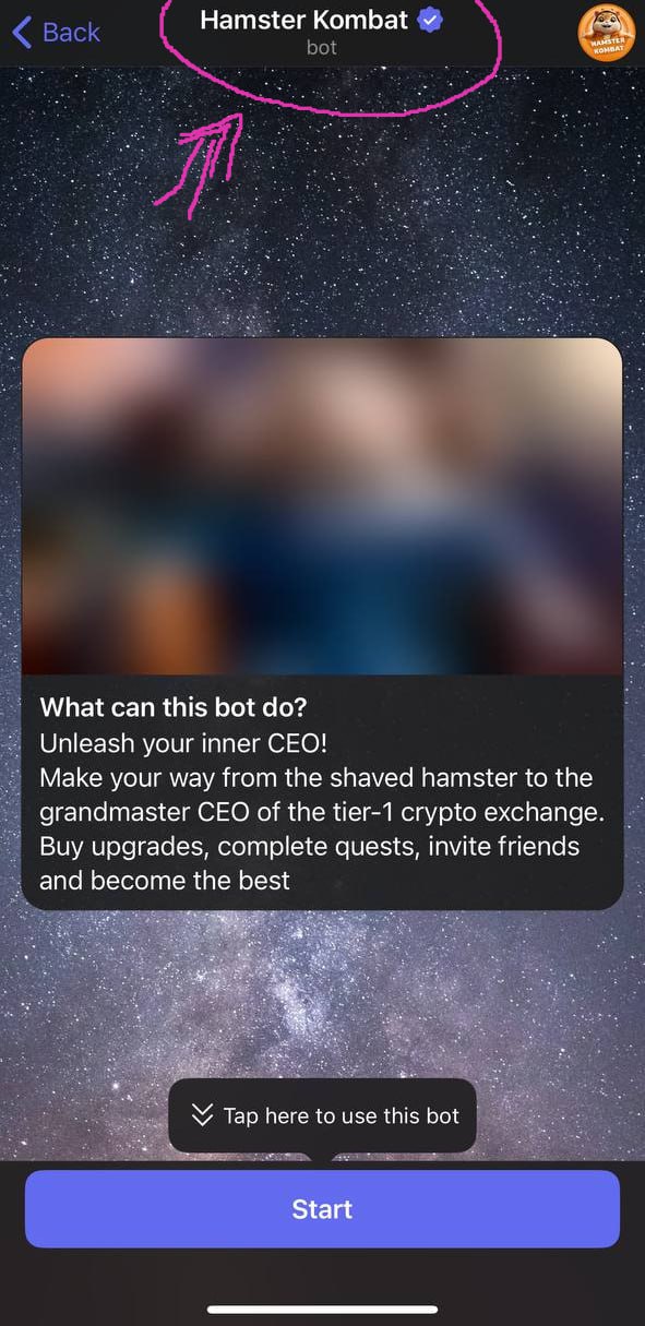 Исчезновение цифры: что происходит с Hamster Kombat?
На устройствах под управлением iOS и MacOS вчера пропала информация о количестве пользователей бота "Hamster Kombat" | Сетка — социальная сеть от hh.ru