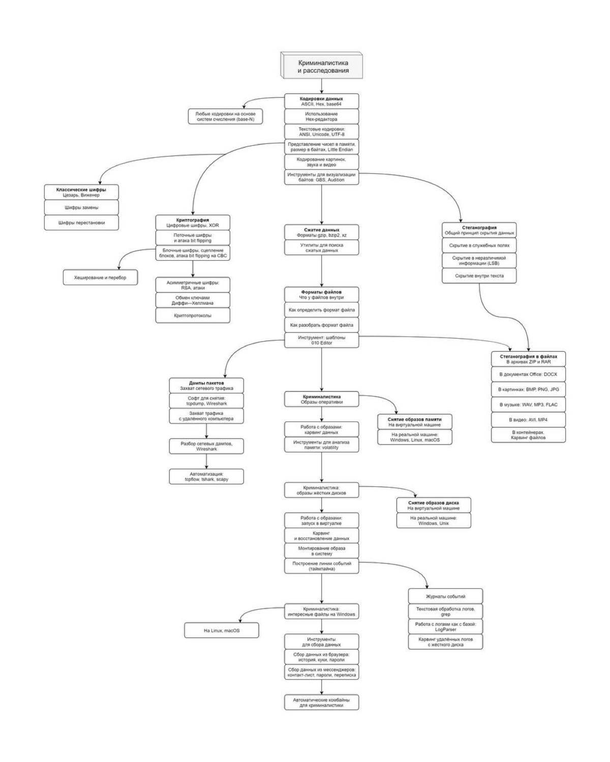 Roadmap по криминалистики и расследованиям | Сетка — социальная сеть от hh.ru