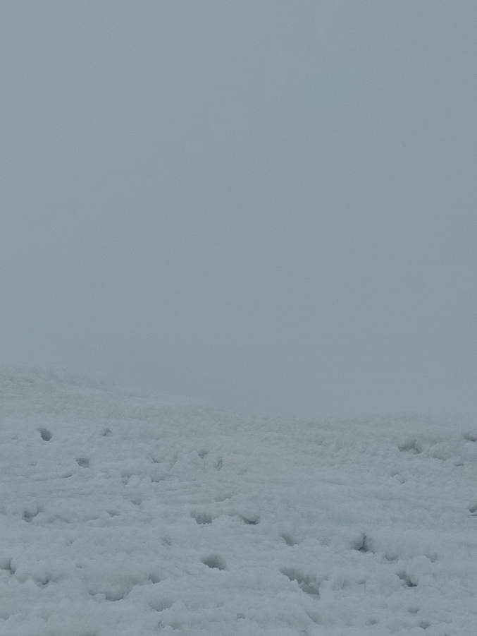 Все выше и выше ... | Сетка — социальная сеть от hh.ru