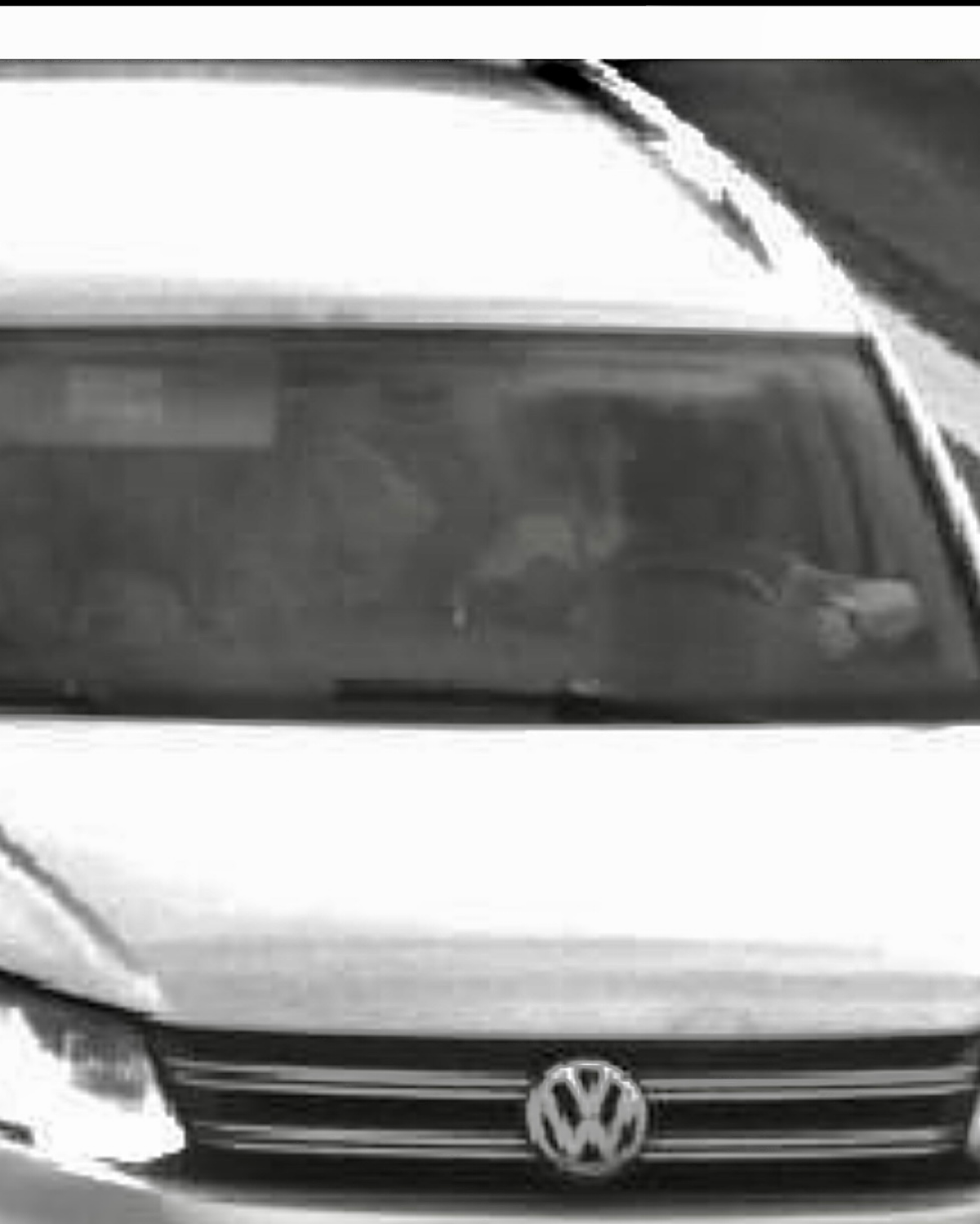 Под этим постом выкладываем свои фотографии, сделанные в тот момент, когда не нужно было… 🙄
Никогда такого не было, и вот опять (с)
ПыСы: для иностранцев - мы тут про штрафы 🤪 | Сетка — социальная сеть от hh.ru