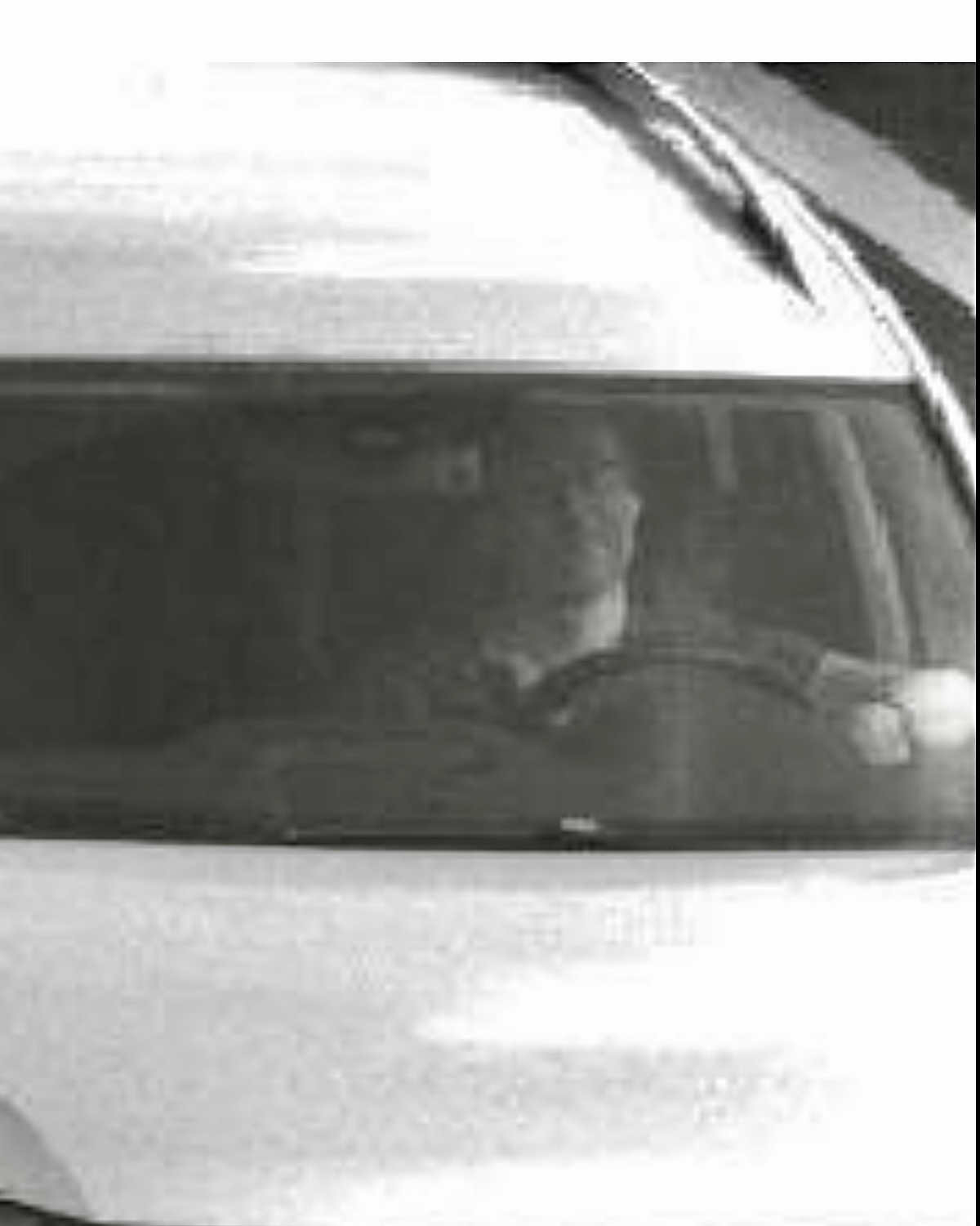 Под этим постом выкладываем свои фотографии, сделанные в тот момент, когда не нужно было… 🙄
Никогда такого не было, и вот опять (с)
ПыСы: для иностранцев - мы тут про штрафы 🤪 | Сетка — социальная сеть от hh.ru