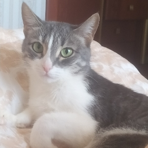 Серега Ве | Сетка — социальная сеть от hh.ru