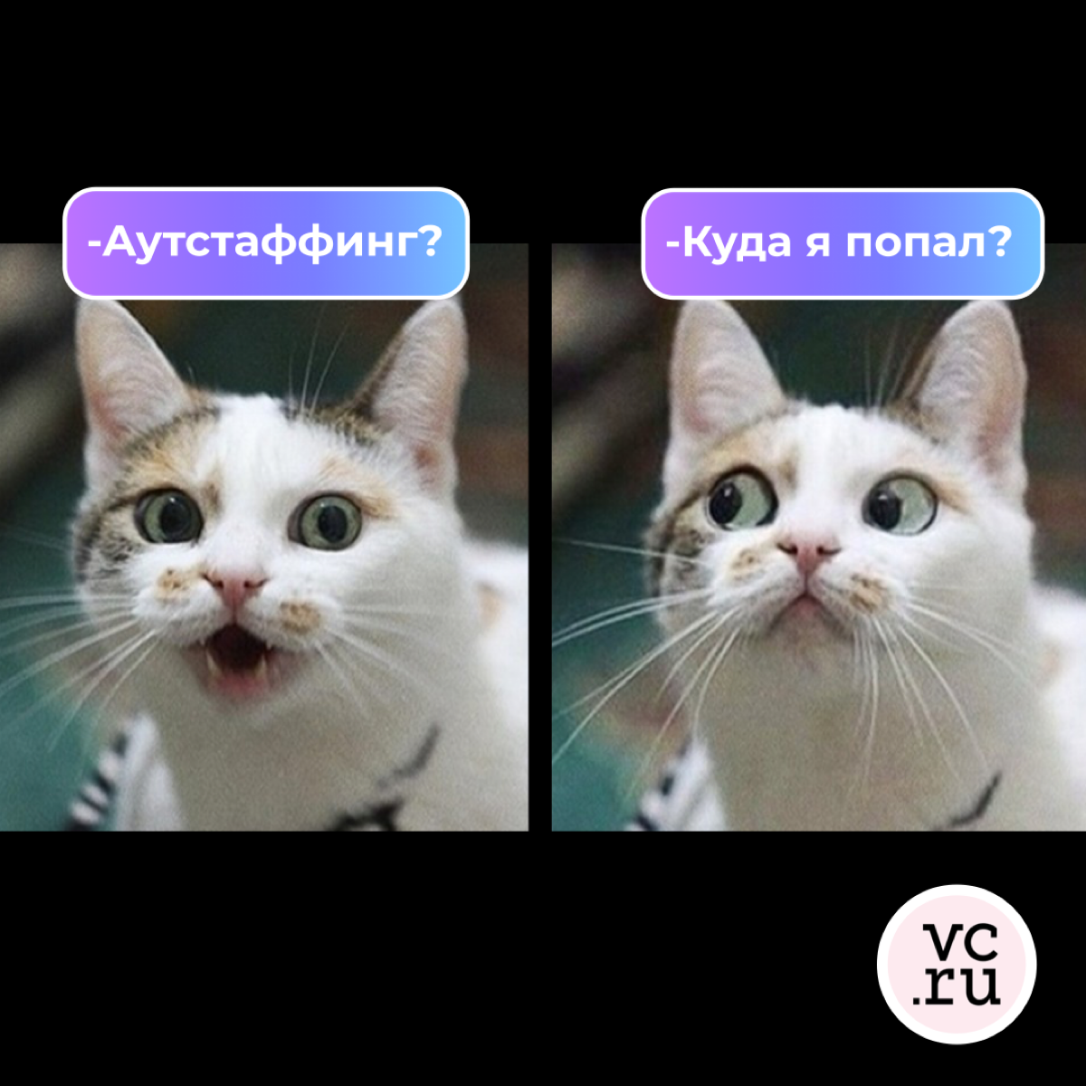 Аутстаффинг - это не больно | Сетка — социальная сеть от hh.ru