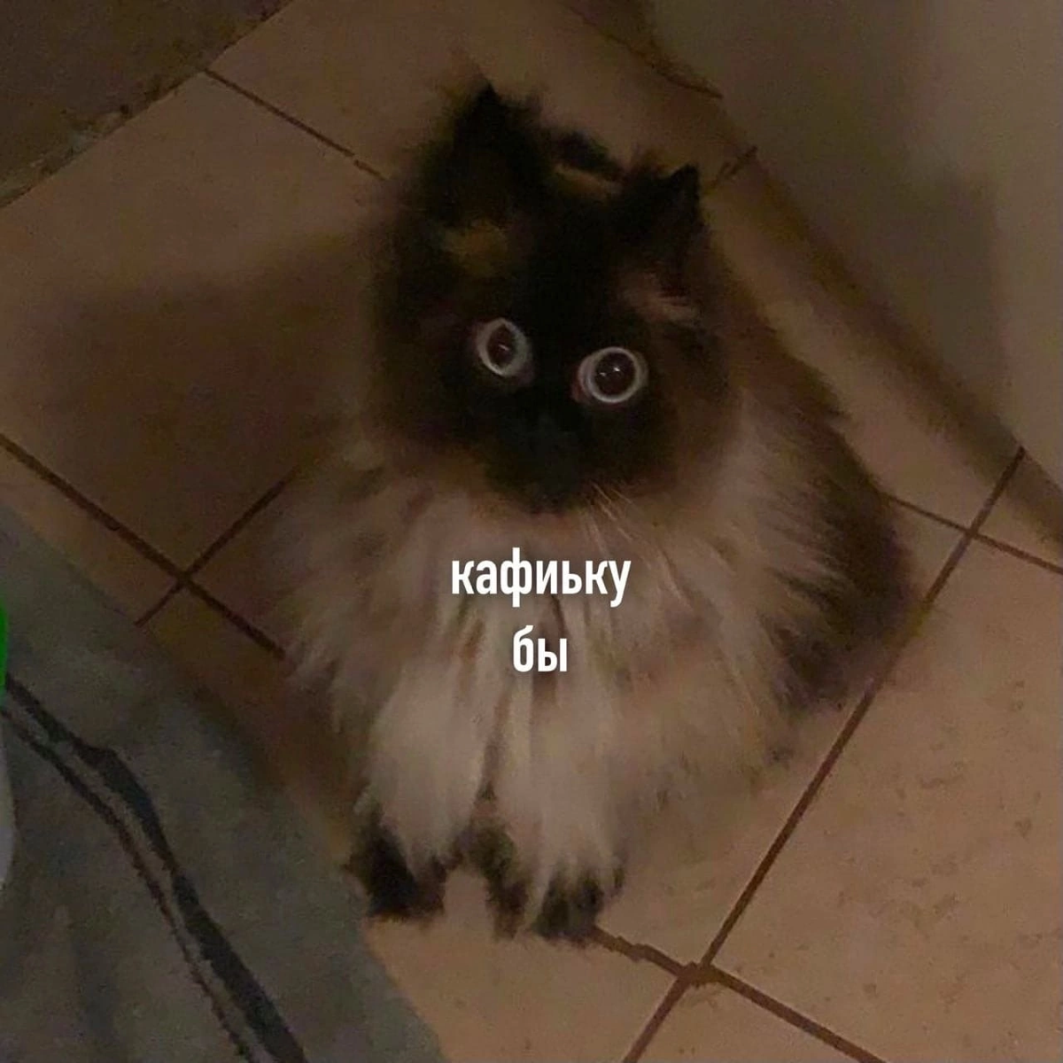 Когда в офисе сломалась кофемашина | Сетка — социальная сеть от hh.ru