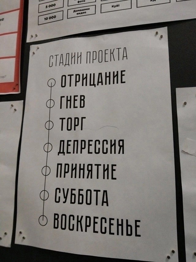 Все стадии проекта ☑️
#Маркетинг | Сетка — социальная сеть от hh.ru