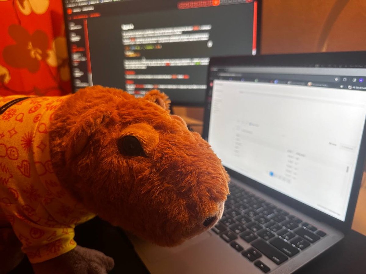 Капибара при деле, а я нет. Надо срочно исправлять! | Сетка — социальная сеть от hh.ru