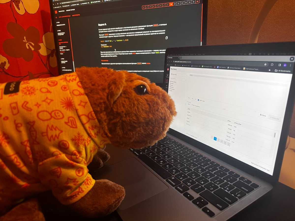 Капибара при деле, а я нет. Надо срочно исправлять! | Сетка — социальная сеть от hh.ru