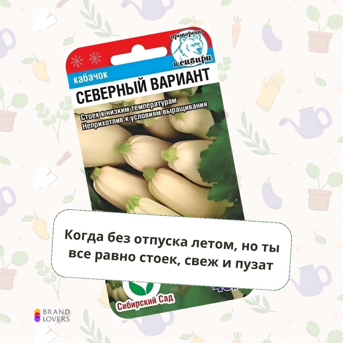 Раздаю идеи кабачковых активностей на работе | Сетка — социальная сеть от hh.ru