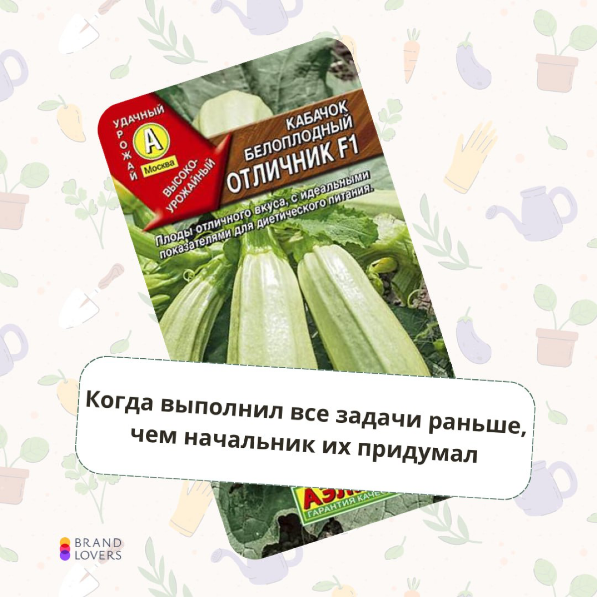Раздаю идеи кабачковых активностей на работе | Сетка — социальная сеть от hh.ru