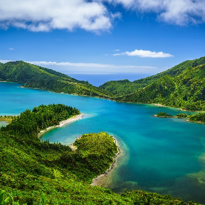 Роман Фордик