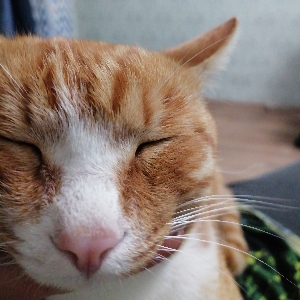 Артур Дильмухаетов | Сетка — социальная сеть от hh.ru