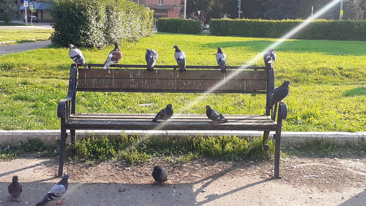 Первый пост говорят, должен быть "знакомство ". Но если честно, мне не о чем писать, в этом направлении. 
Ссылки все в описании есть. Заходите, знакомьтесь.  Оценивайте.  Пожалуйста, без агрессии | Сетка — социальная сеть от hh.ru