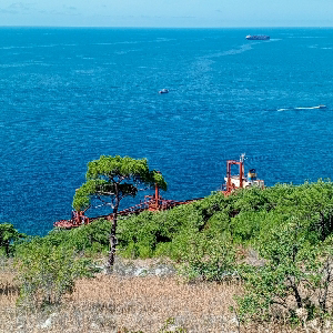 Ник Ник | Сетка — социальная сеть от hh.ru