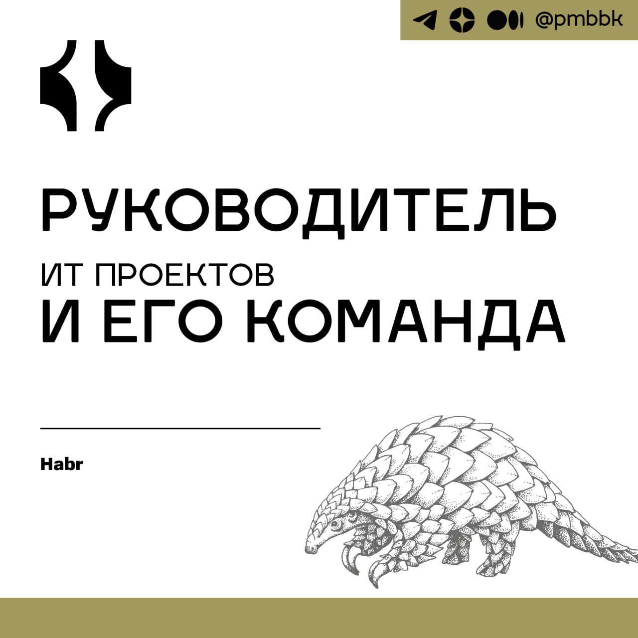 🛒 Руководитель ИТ проектов и его командаЭта статья - часть цикла статей о том, чего не рассказывают на курсах РП, и что в жизни понадобится вам с первого же дня работы: о так называемых софтскиллах РП | Сетка — социальная сеть от hh.ru