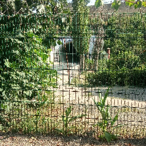 Алимурад Гамзатов