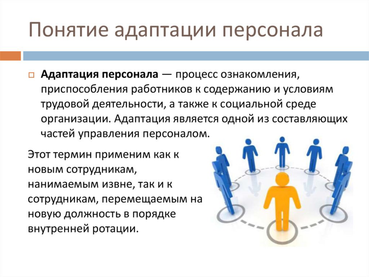 Адаптация : 1 рабочий день до умения владеть информацией, и понимать процессы работы внутри Компании. | Сетка — социальная сеть от hh.ru