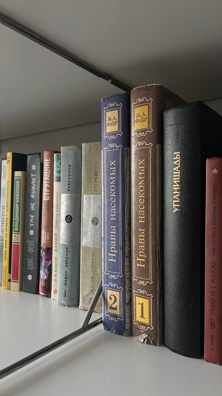 В любом кризисе, бизнесовом или личном, есть общая задача: 
Как можно быстрее признать, что что-то будет потеряно. 
Эта потеря — плата за билет на переход в следующий уровень | Сетка — социальная сеть от hh.ru