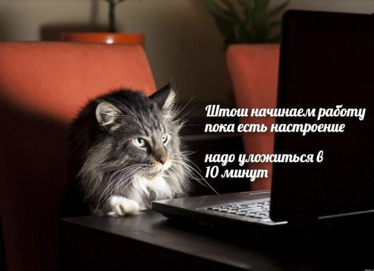 Сетка — социальная сеть от hh.ru
