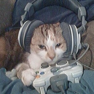 Анастасия Бобрышева