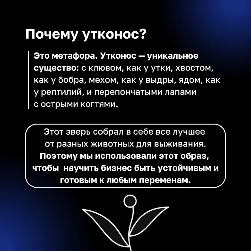 ❓ Как связаны утконосы и бизнес ❓
Этот уникальный зверек, сочетающий в себе черты разных животных, прекрасно адаптирован к изменениям и новым условиям | Сетка — социальная сеть от hh.ru