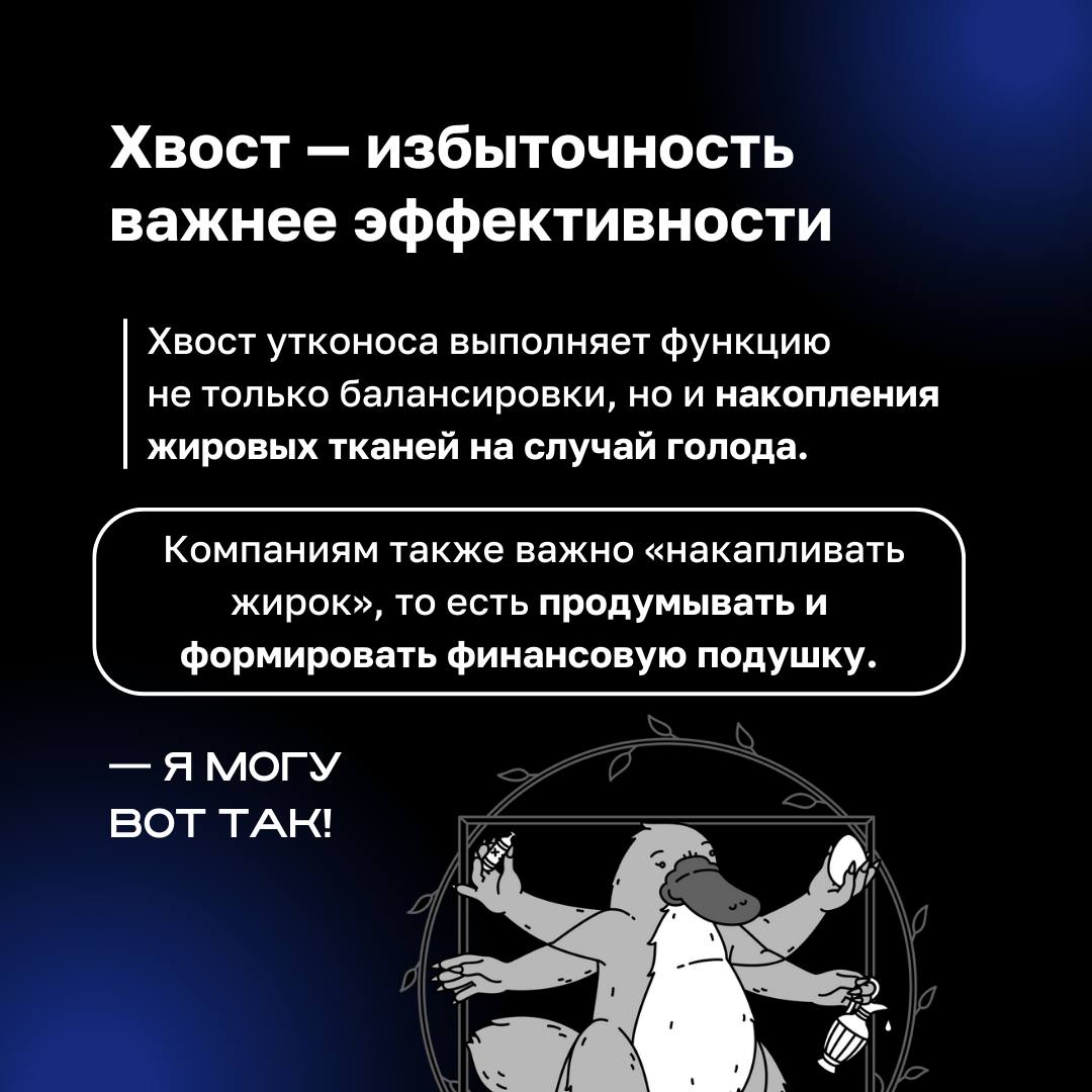 ❓ Как связаны утконосы и бизнес ❓
Этот уникальный зверек, сочетающий в себе черты разных животных, прекрасно адаптирован к изменениям и новым условиям | Сетка — социальная сеть от hh.ru