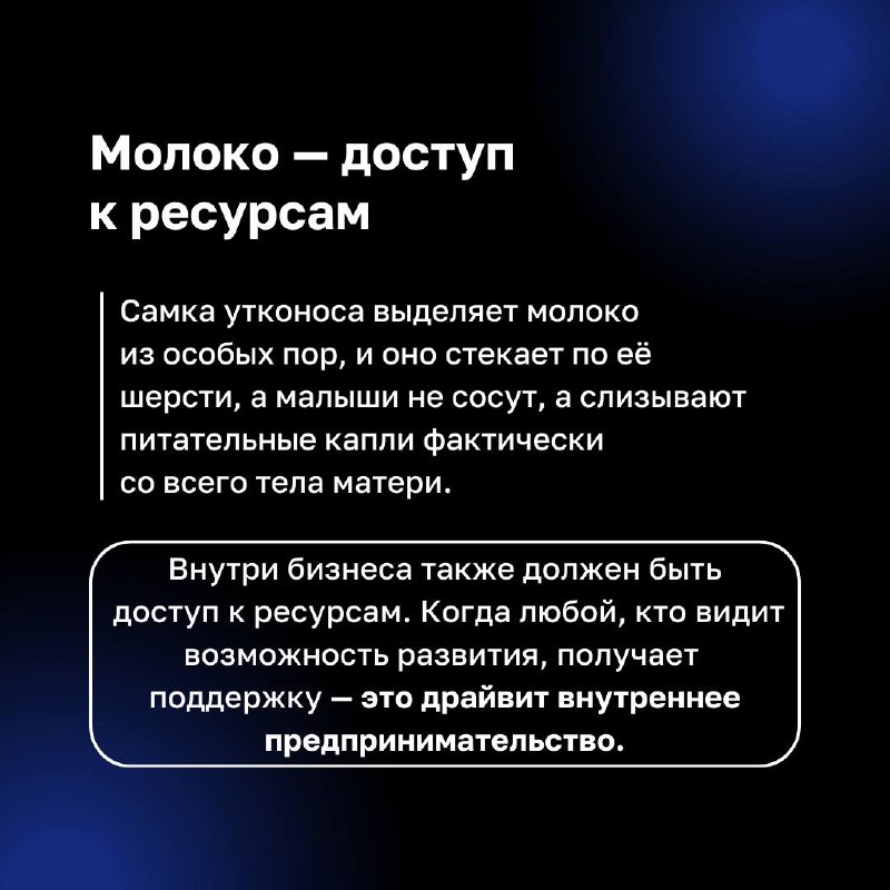 ❓ Как связаны утконосы и бизнес ❓
Этот уникальный зверек, сочетающий в себе черты разных животных, прекрасно адаптирован к изменениям и новым условиям | Сетка — социальная сеть от hh.ru