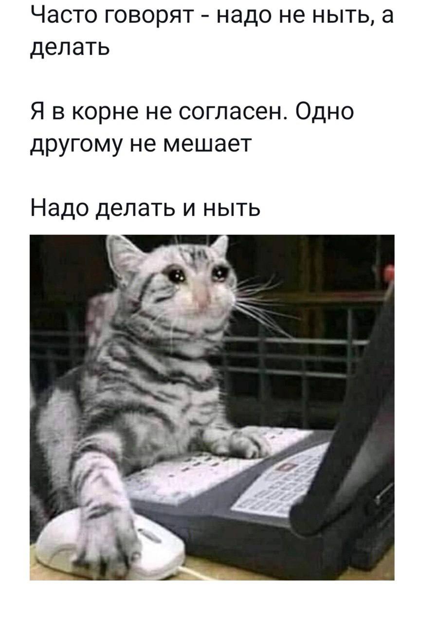 Собрали все посты недели в один:
➡️ исследование продолжительности рабочего дня
➡️ нужен ли предпринимателю карьерный консультант?
➡️ подборка ресурсов для анализа стран
➡️ кейс с программы “Поиск раб... | Сетка — социальная сеть от hh.ru