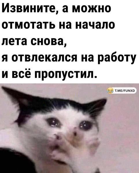 Собрали все посты недели в один:
➡️ исследование продолжительности рабочего дня
➡️ нужен ли предпринимателю карьерный консультант?
➡️ подборка ресурсов для анализа стран
➡️ кейс с программы “Поиск раб... | Сетка — социальная сеть от hh.ru